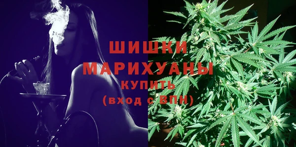 молекула духа Магас