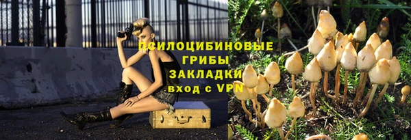 Альфа ПВП Лиски