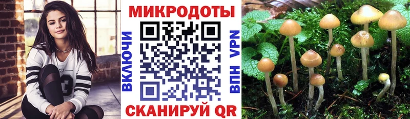 как найти закладки  MEGA зеркало  Галлюциногенные грибы мицелий  Шенкурск 